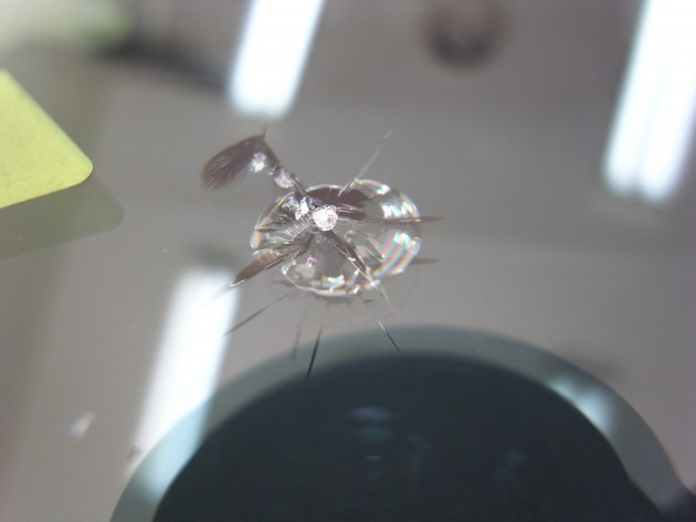 フロント ガラス 飛び石