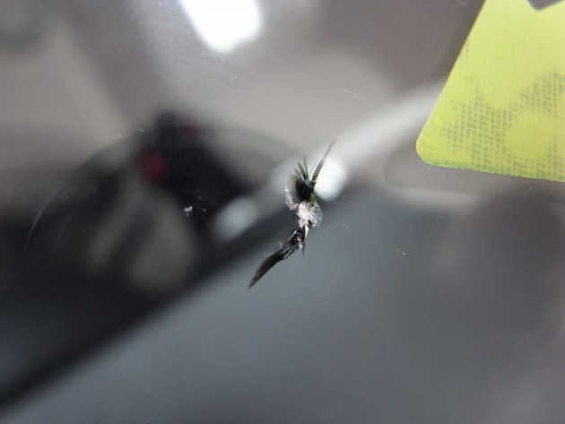 フロント ガラス 飛び石