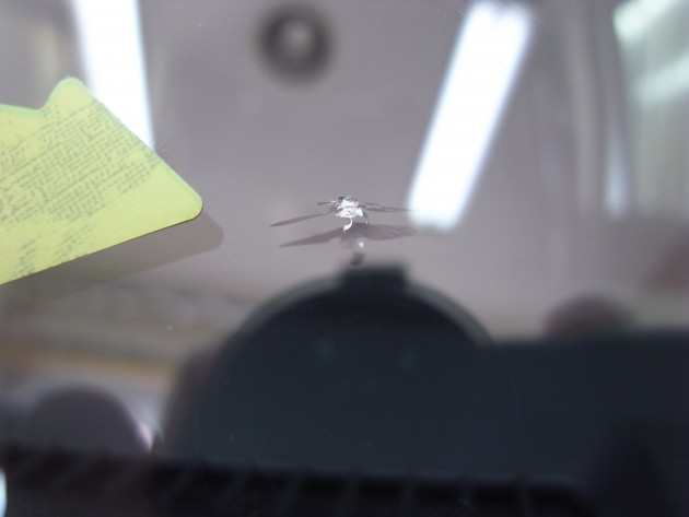 フロント ガラス 飛び石