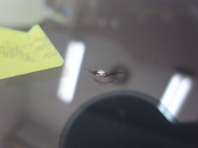 フロント ガラス 飛び石