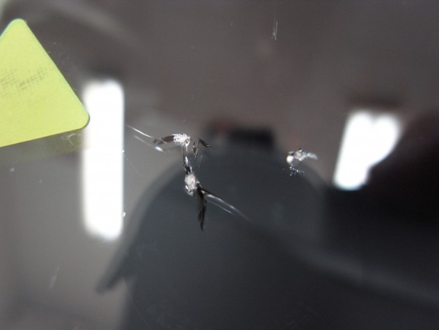 フロント ガラス 飛び石