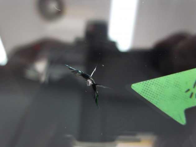 フロントガラス 飛び石