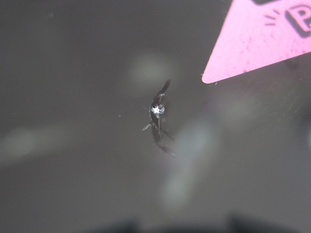 フロントガラス 飛び石