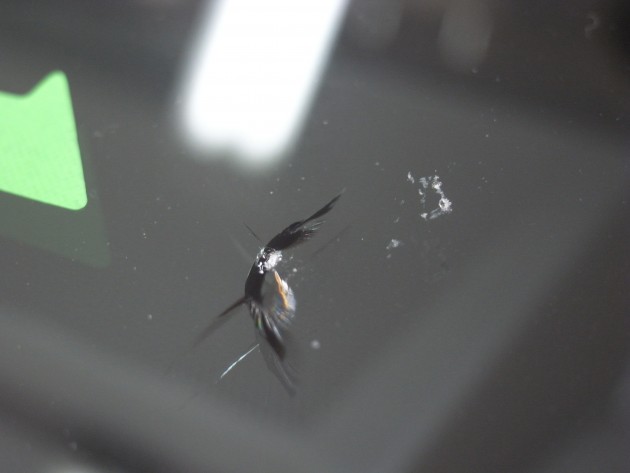 フロントガラス 飛び石