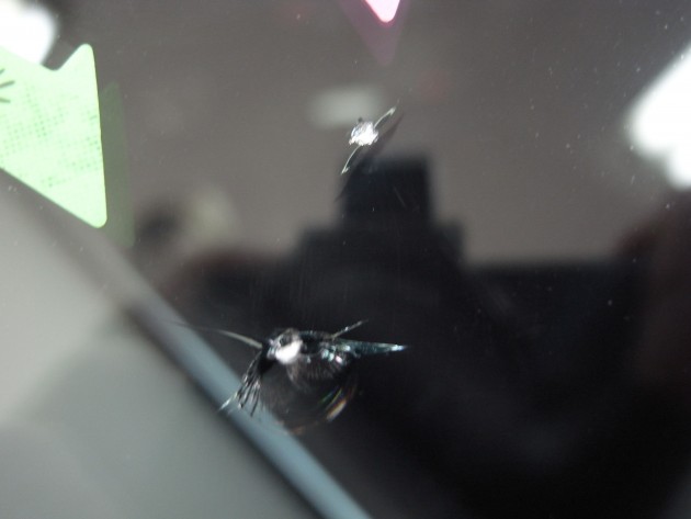 フロントガラス 飛び石