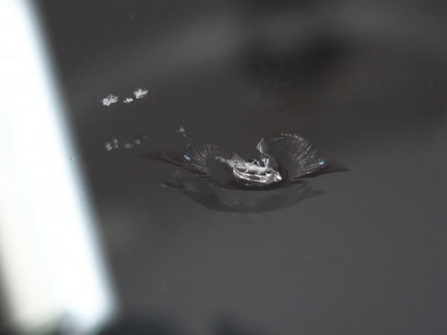 フロントガラス 修理