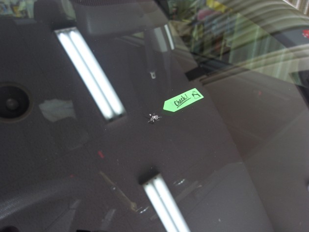 フロントガラス 飛び石