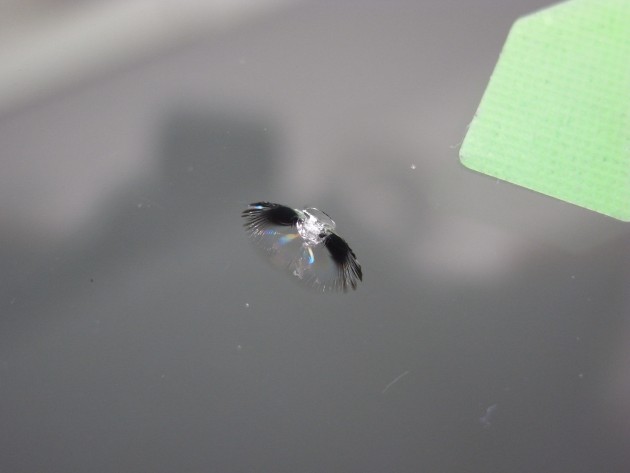 フロントガラス 修理