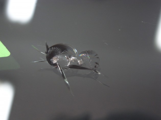 フロントガラス 飛び石