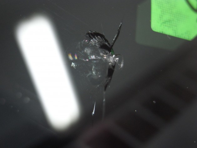 フロントガラス 飛び石