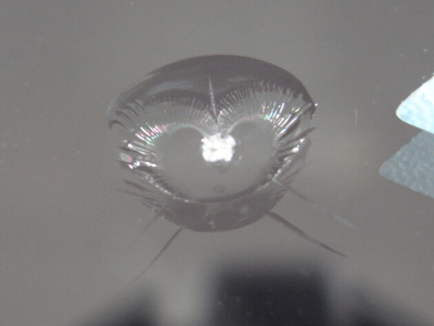 ウインドリペア　ハイエーススーパーロング