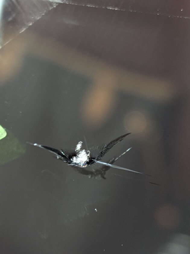 ポルシェ911カレラ1.4cmのひび割れ