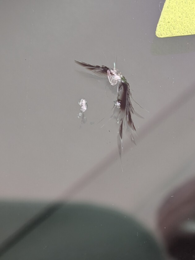 タント衝撃点2つ