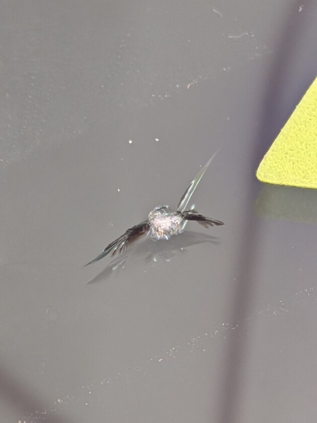 カローラツーリング1.3cmのひび割れ