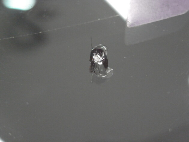 デミオ1.5cmのひび割れ