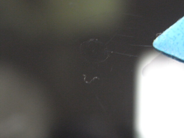 ダイハツタント　ウインドリペア