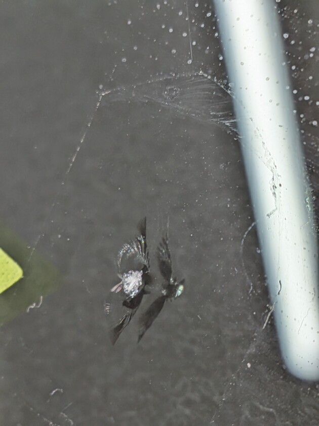 ヴォクシー1.1cmのひび割れ