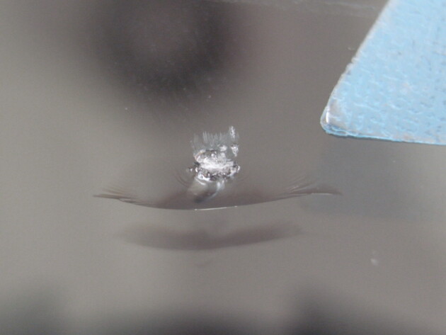 トヨタRAV4 ウインドリペア