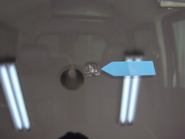 ホンダNbox　ウインドリペア