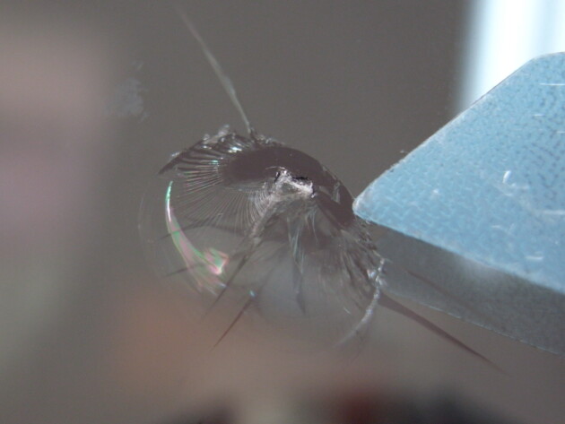 トヨタハイエース ウインドリペア