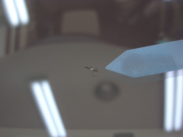 スズキエブリィ フロントガラス 修理