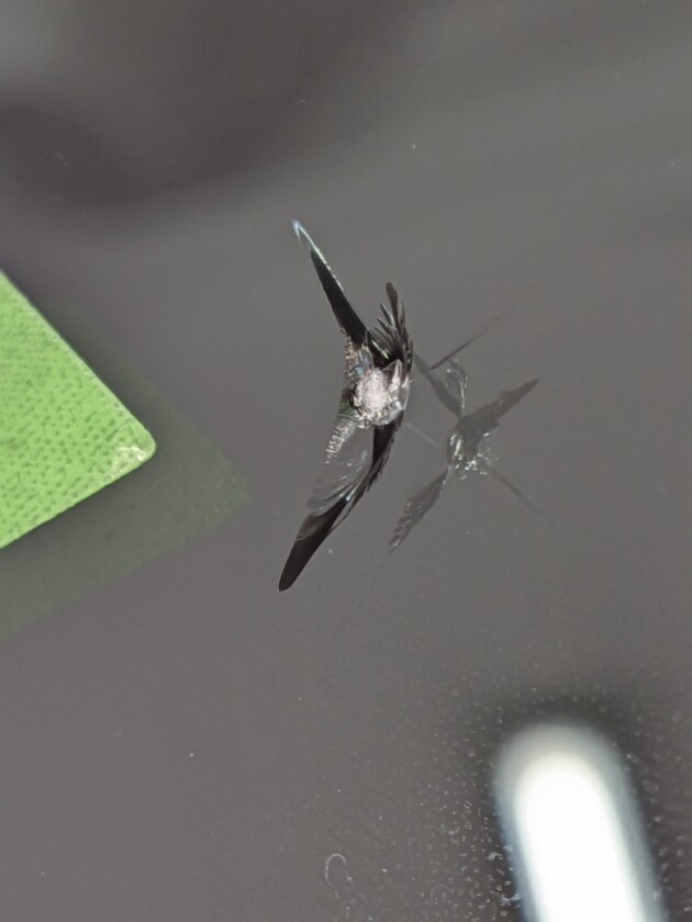 BMWX3ウインドリペア1.2cm