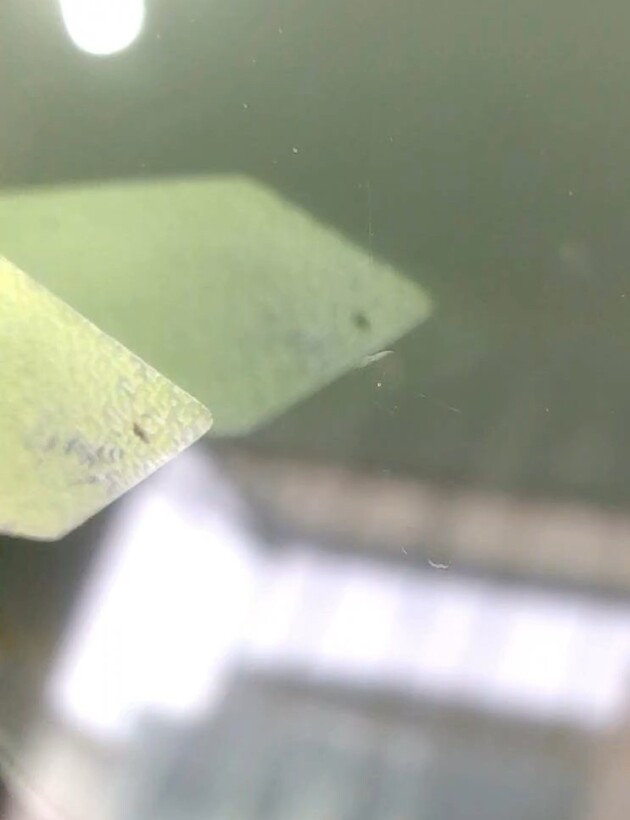 ヴェルファイア1.1cmのひび割れ