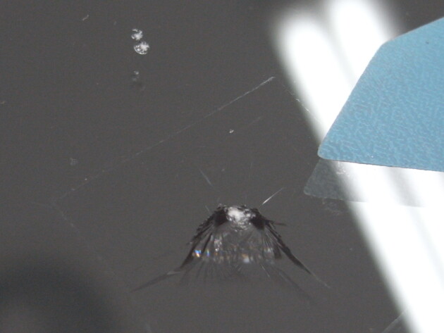 ウインドリペア ノア