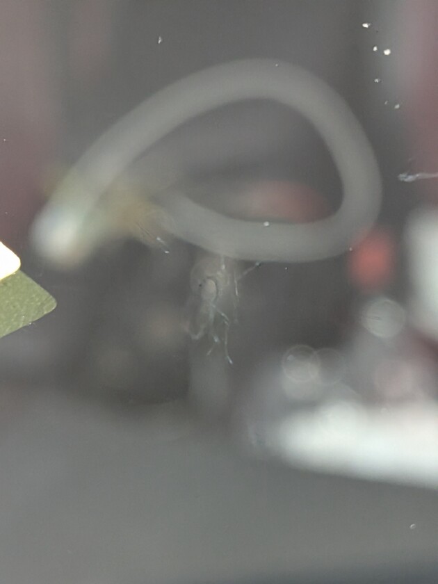 NX1.9cmのひび割れ