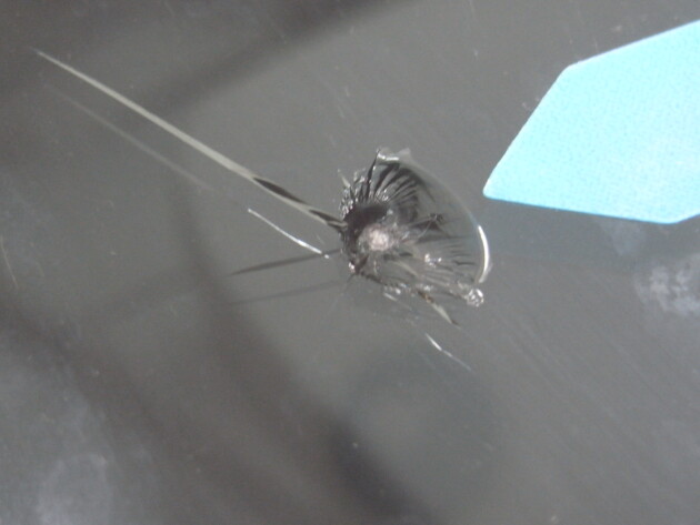 トヨタヴォクシー　ウインドリペア