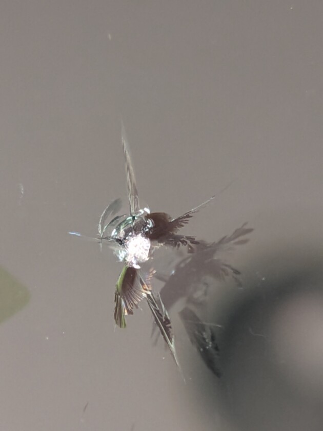 CX-8ウインドリペア1.6cmのひび割れ