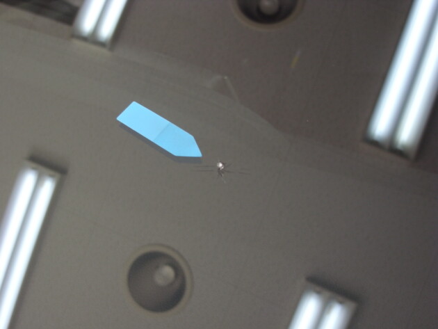 トヨタプリウス　フロントガラス　修理