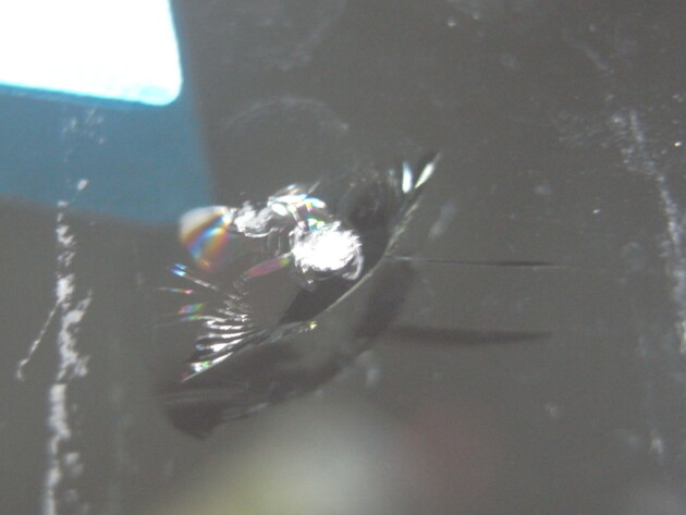 ホンダクロスロード　ウインドリペア