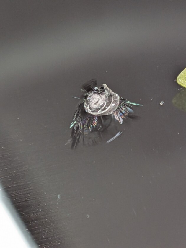 ルーミー1.1cmのひび割れ