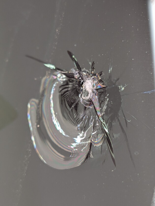 アルファード2.5cmのひび割れ