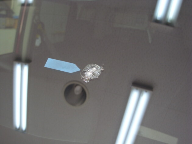 トヨタルーミー ウインドリペア