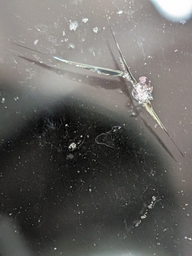 Nbox1.4cmのひび割れ