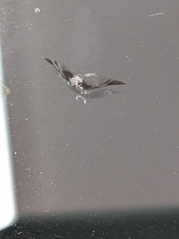 ノア1.2cmのひび割れ