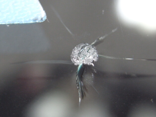 メルセデスベンツE350　ウインドリペア