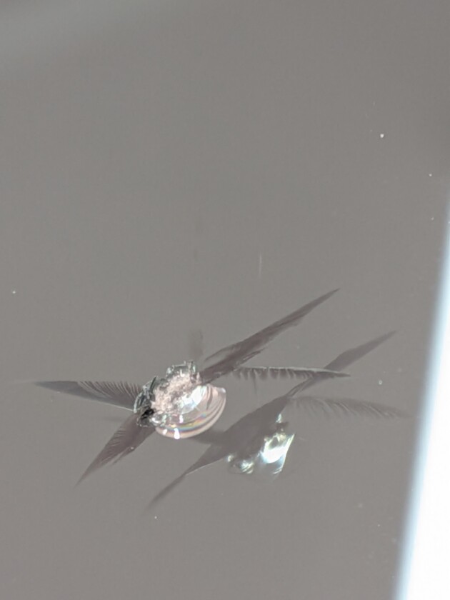 ミニクラブマン1.2cmのひび割れ