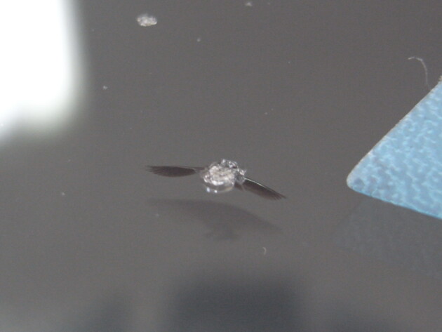 ウインドリペア　ハイエーススーパーロング　