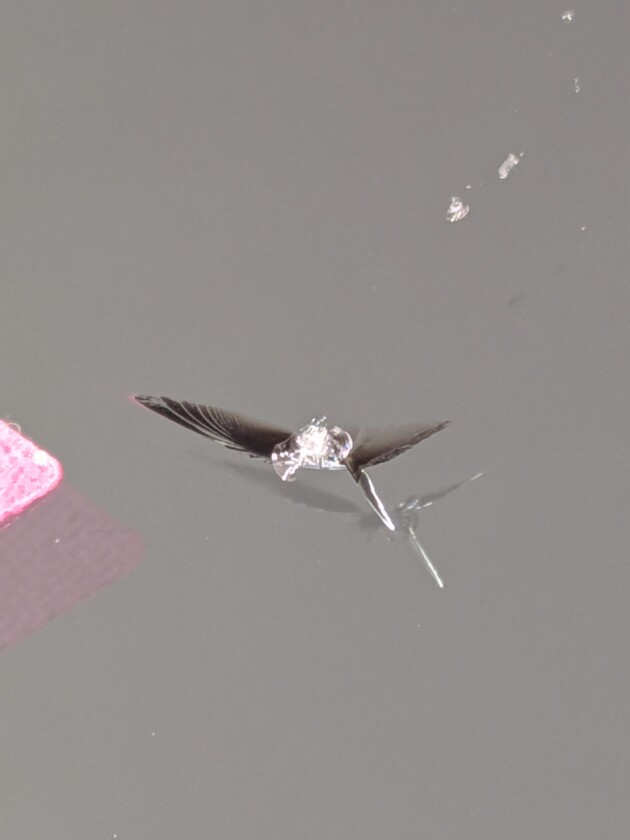 カローラツーリング1.4cmのひび割れ