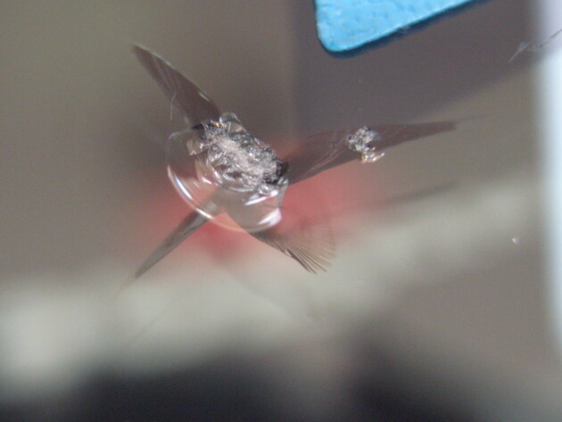 スズキハスラー フロントガラス 飛び石