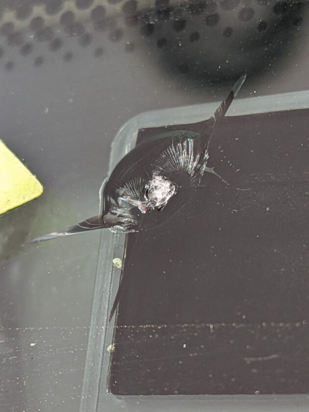 BMWX3ひび割れ2cm