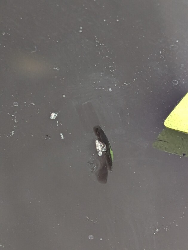 CX-8ウインドリペア7mmのひび割れ