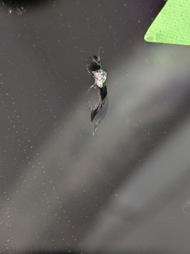 インテグラタイプR1cmのひび割れ