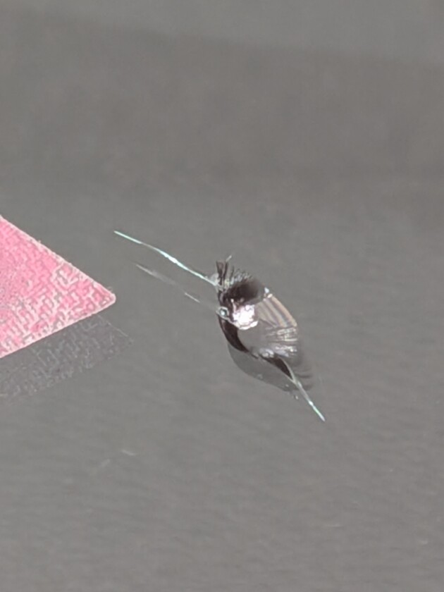 セレナ直径2cmのひび割れ
