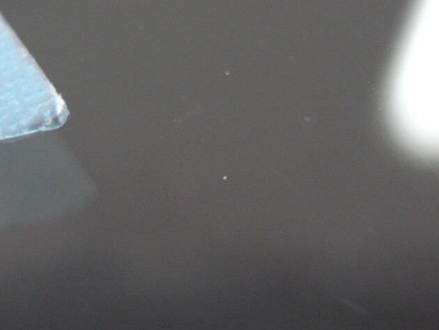 BMW440i ウインドリペア